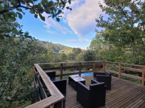 Maison en pierre au cœur de l'Ardèche avec 4 lits, 2 chambres, 1 piscine hors sol